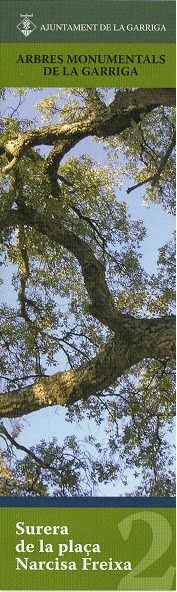 Alcornoque, Sobreira
