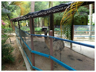 Taman Buaya dan Reakresi, Melaka : Tempat beriadah terbaik untuk seisi keluarga. Sambil beriadah, sambil tengok buaya! Taman Buaya dan Reakresi, Melaka : Tempat beriadah terbaik untuk seisi keluarga. Sambil beriadah, sambil tengok buaya!