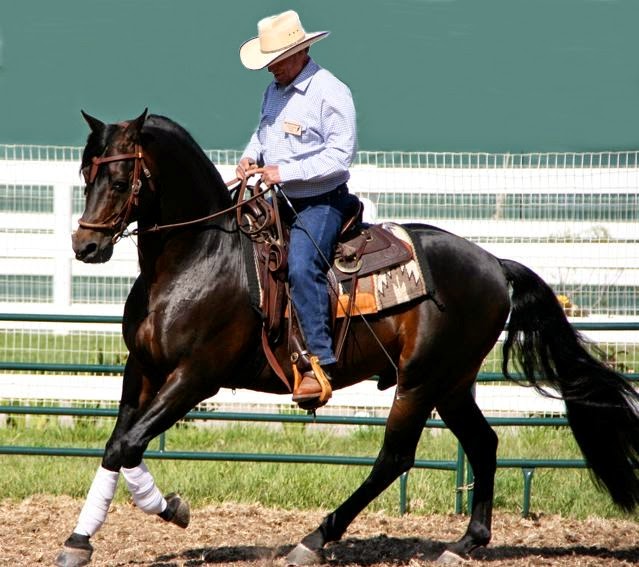 Horse Properties & Horse Keeping in Minnesota Western Dressage Clinic