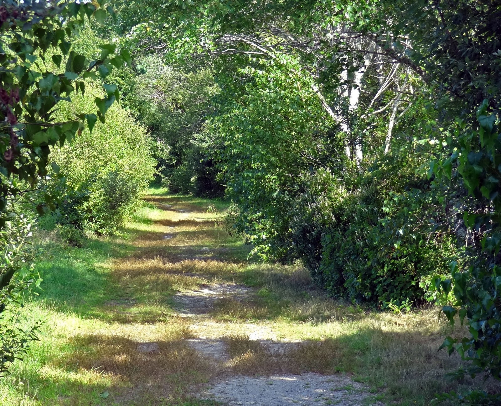 Joe's Retirement Blog Tubbs Meadow, Pembroke, Massachusetts, USA