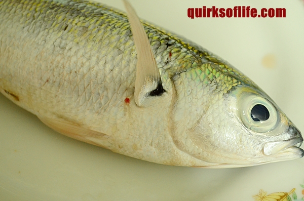 Tips Mudah Nak Pilih Ikan Segar di Pasar Sebelum Beli | EZDIET