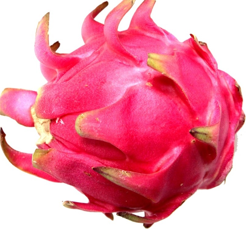 Ketahuilah Ini Khasiat Kulit Buah Naga Untuk Kecantikan Ketahuilah Ini Khasiat Kulit Buah Naga Untuk Kecantikan