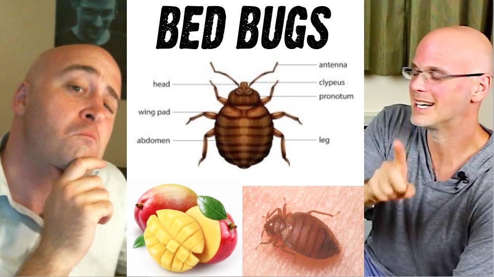 à bas le ciel Gary Yourofsky is Wrong Vegans Kill Insects