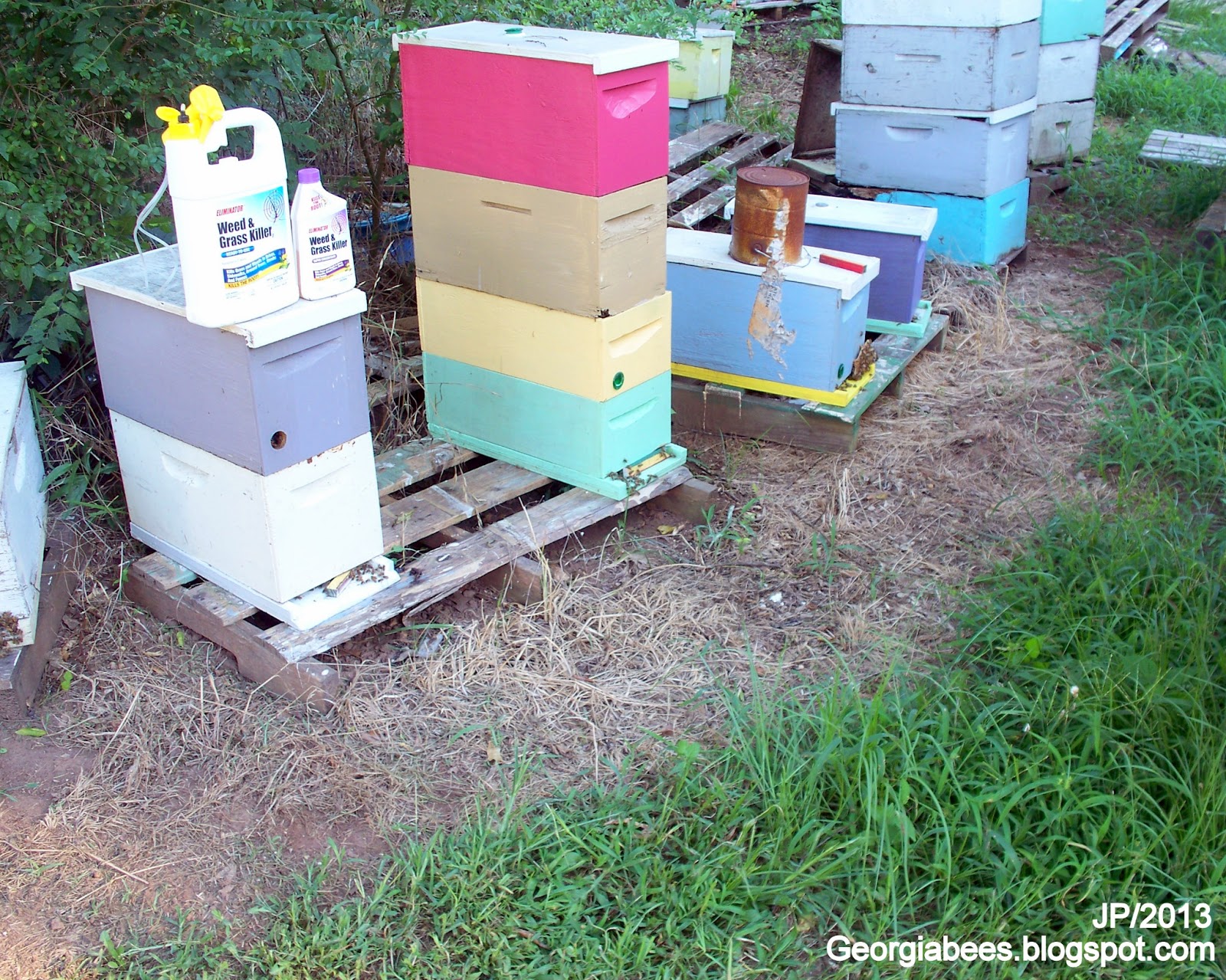 BEEKEEPING Beekeeper Honey Bees Pollen Wax Candle Propolis Queen Nuc