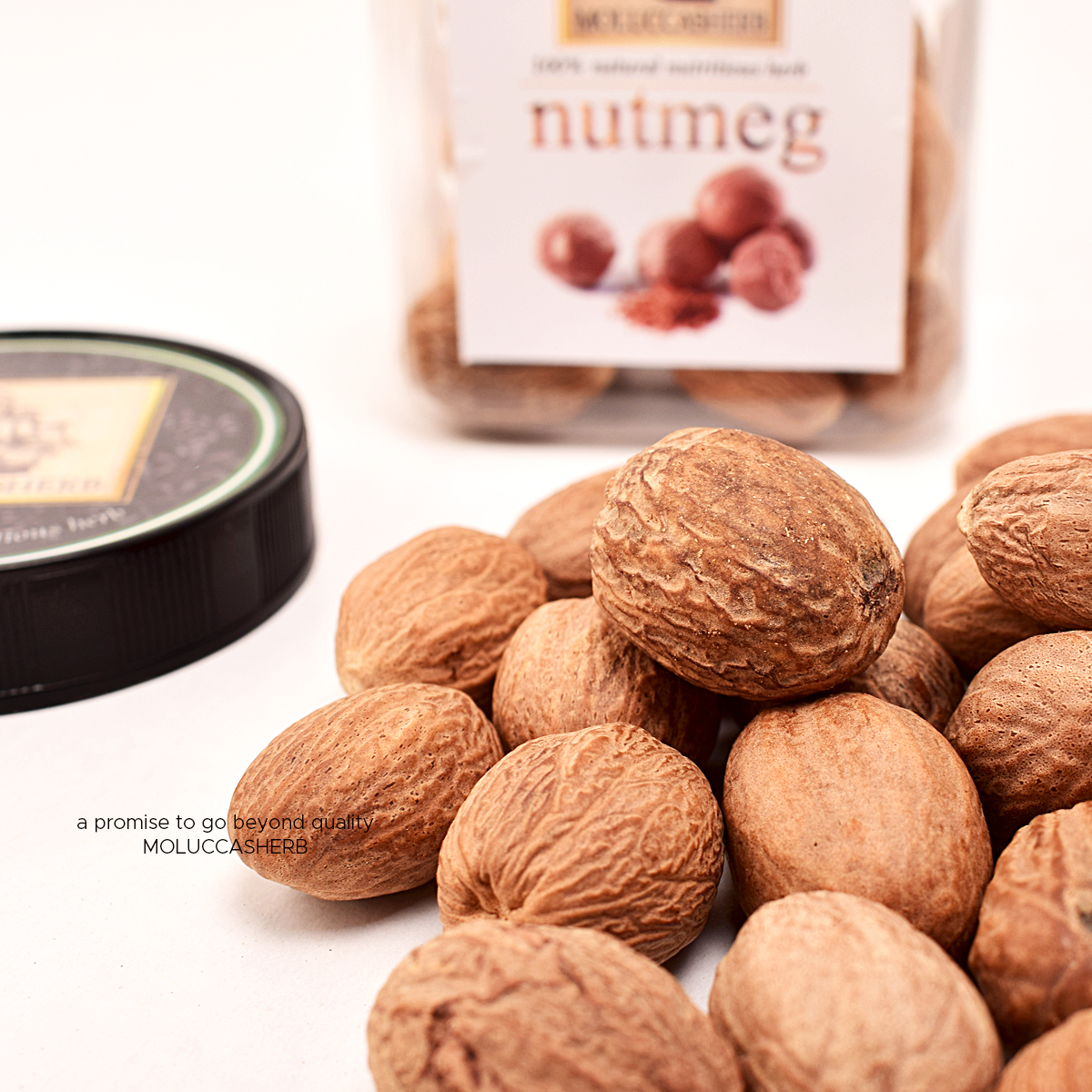 Nutmeg одежда. J morrison одежда. Nutmeg бренд одежда. Nutmeg meaning. Nutmeg перевод.