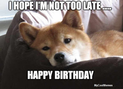 dog birthday meme 4