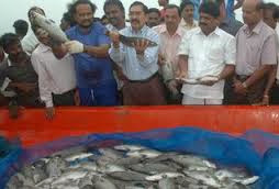 Central Marine Fisheries 