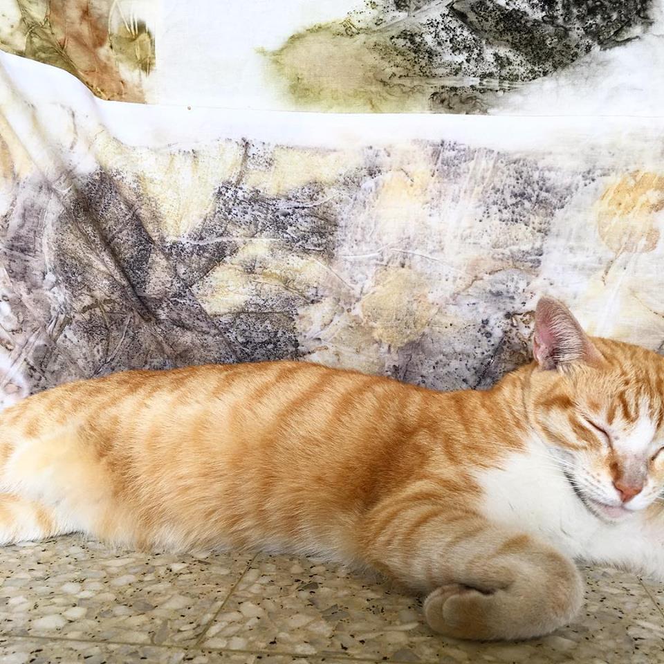 LittleSyam Kettle Stitch vs Coptic Stitch Binding