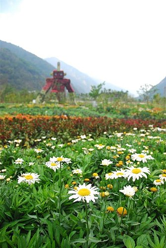 台一生態休閒農場|楓樺台一渡假村