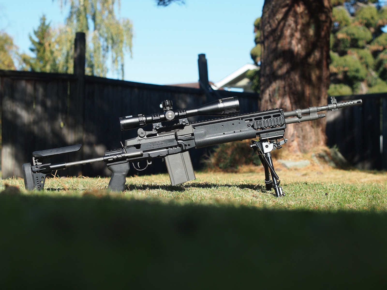 the armed jolly green giant  m14 ebr and pws 20 u0026quot  ar