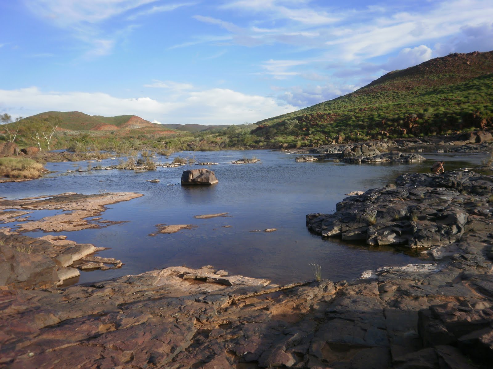 Scubavet Python Pool and Red Dog