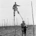 The jobs that time forgot: Stunning pictures show British occupations in the early 1900s that have since been consigned to history