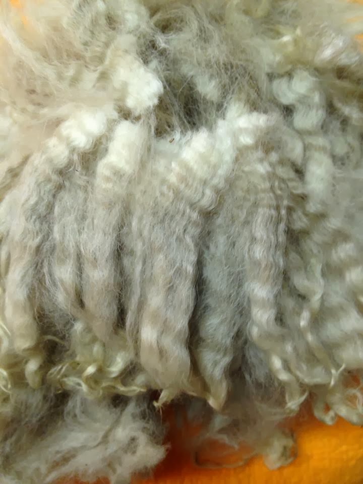 Alma Park Alpacas LLC & The Yarn Shop at Alma Park™ Alpaca Micron