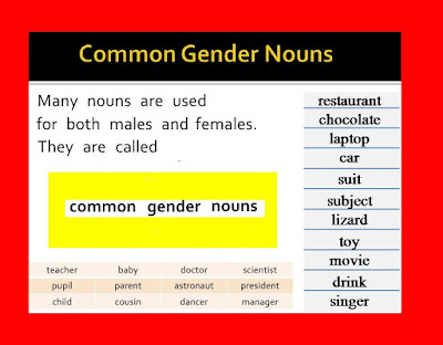 Common Gender Nouns