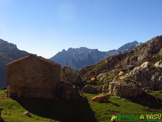 Vista del Macizo Occidental desde Ondón