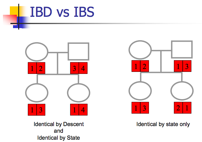 Ibs Vs Ibd Chart