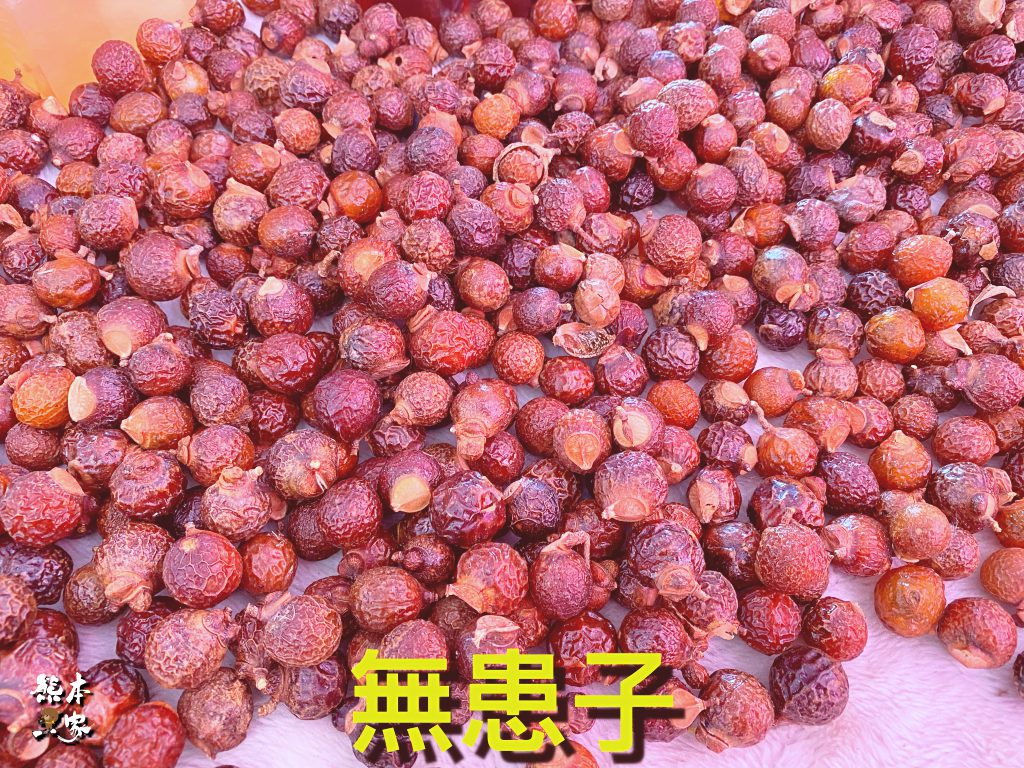 佳園路農改場|三峽北大年度活動~2019都會樂活園藝暨試驗農場開放參觀