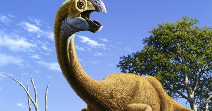 gigantoraptor fossil