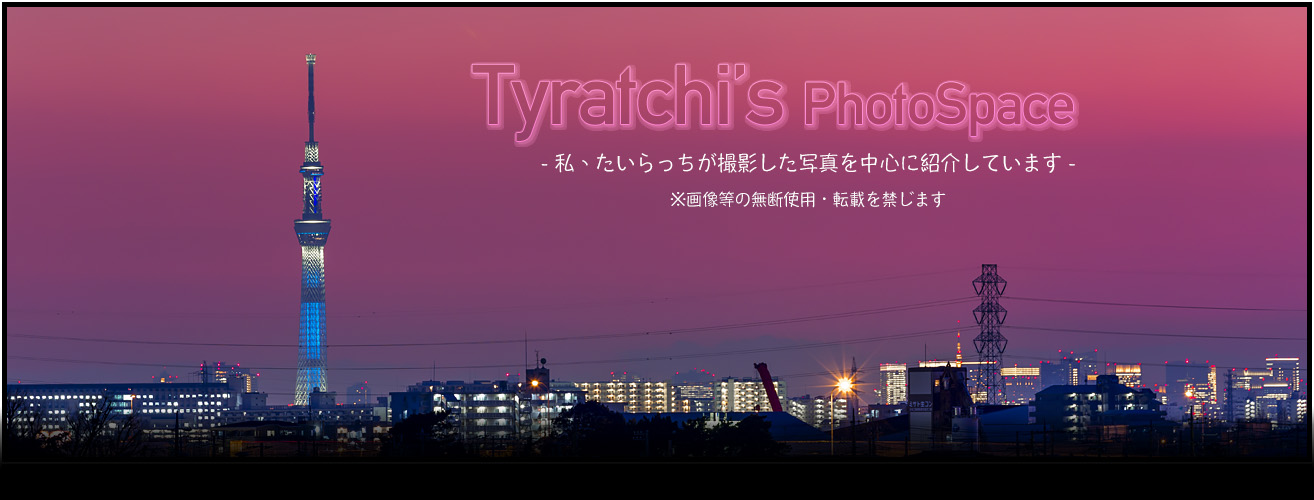 Tyratchi's Photo Space