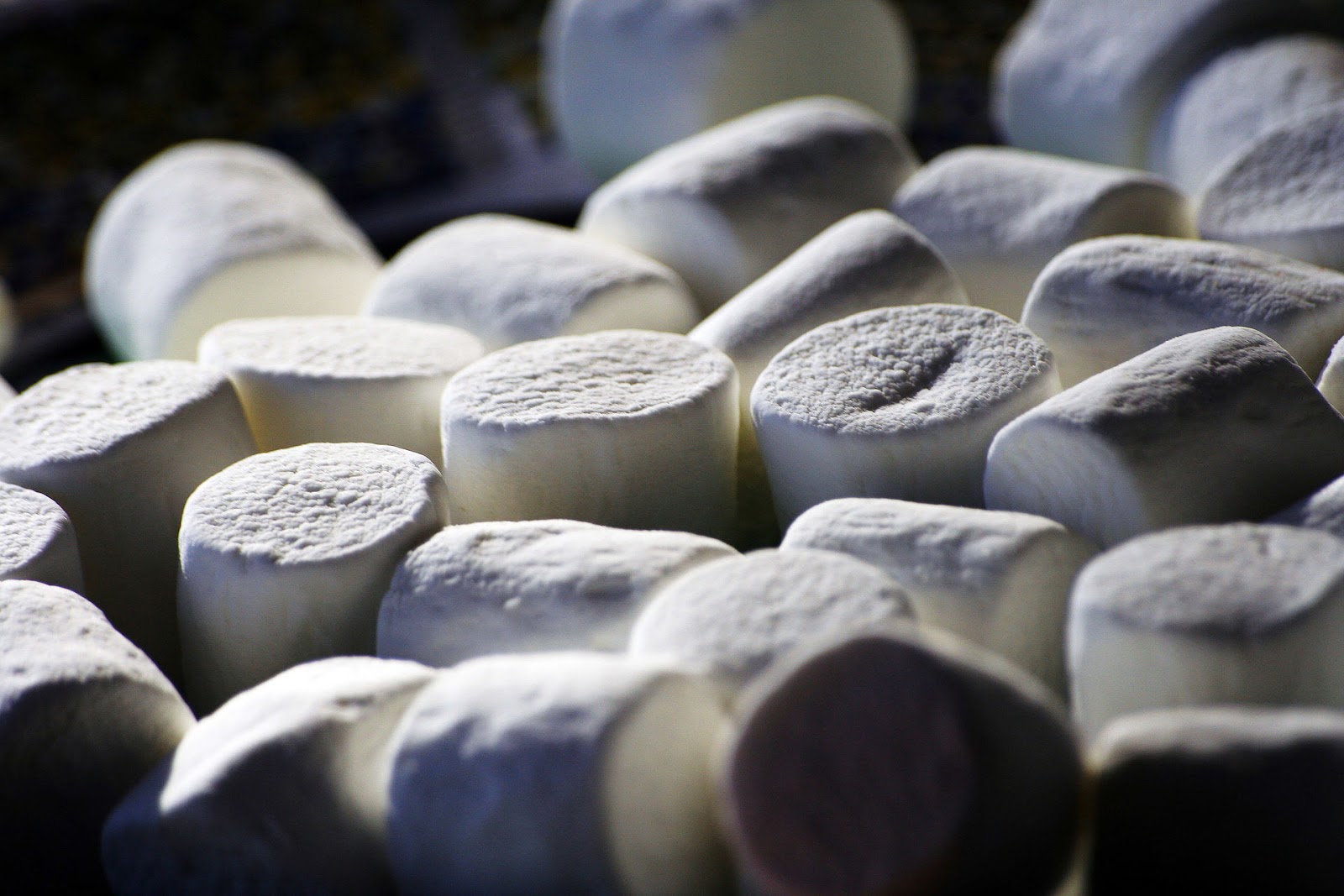 Heroes, Heroines, and History The 2000 Year old Marshmallow