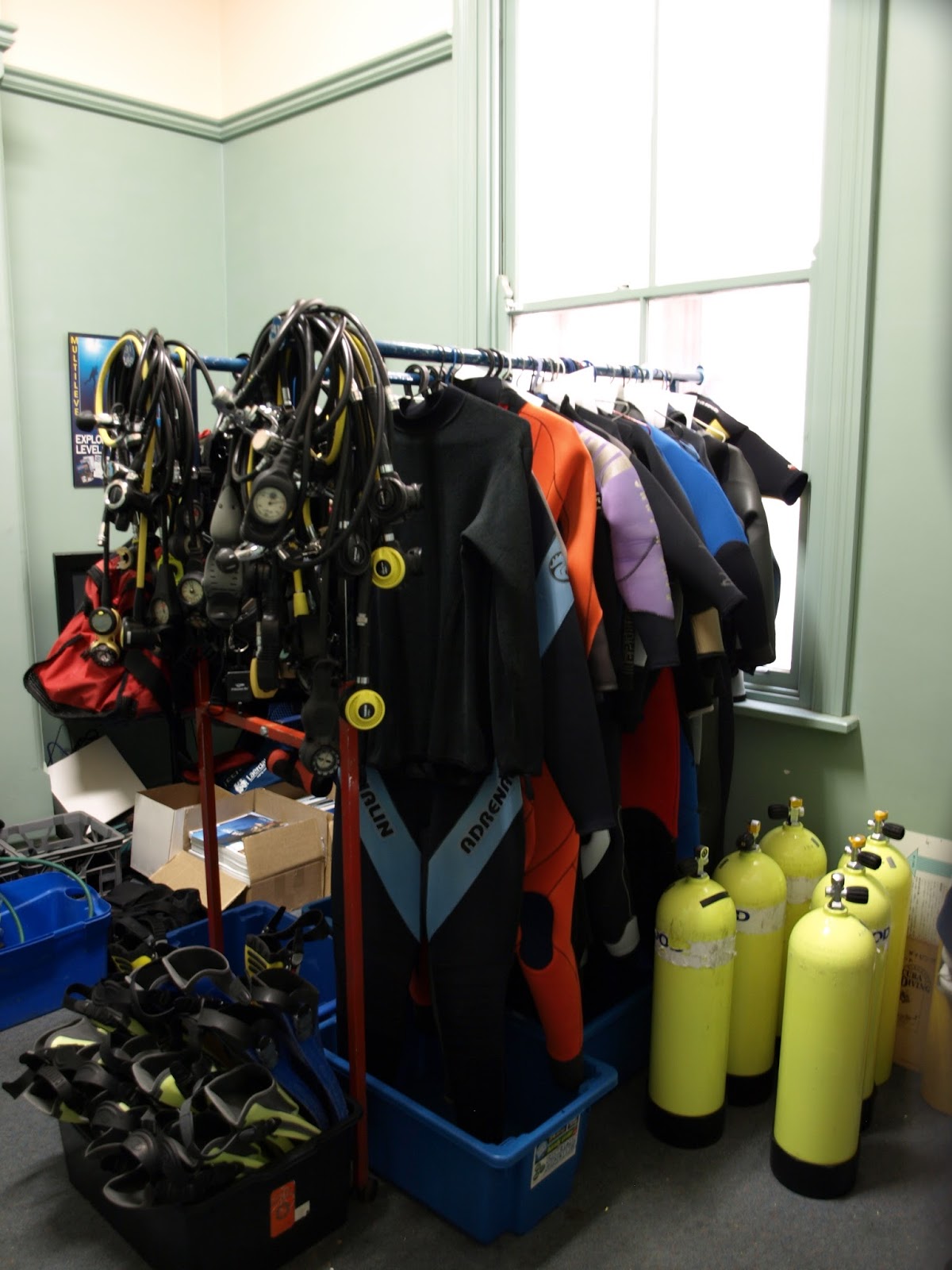 Observations in an undemocratic world Diving with hire equipment