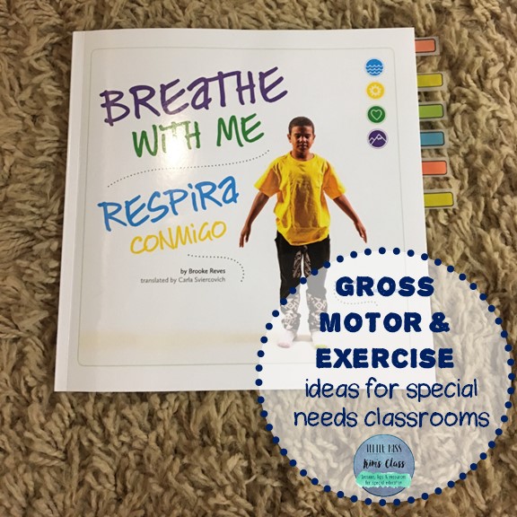 Little Miss Kim's Class Gross Motor/ Exercise Ideas for Special