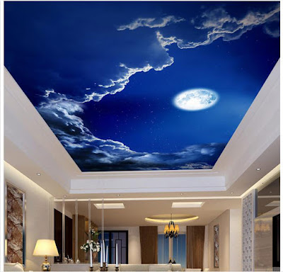 New 3d ceiling art designs for modern interior