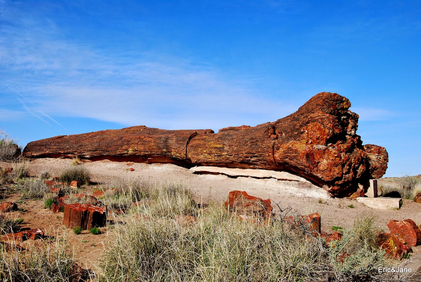 Petrified Forest National Park Arizona USA