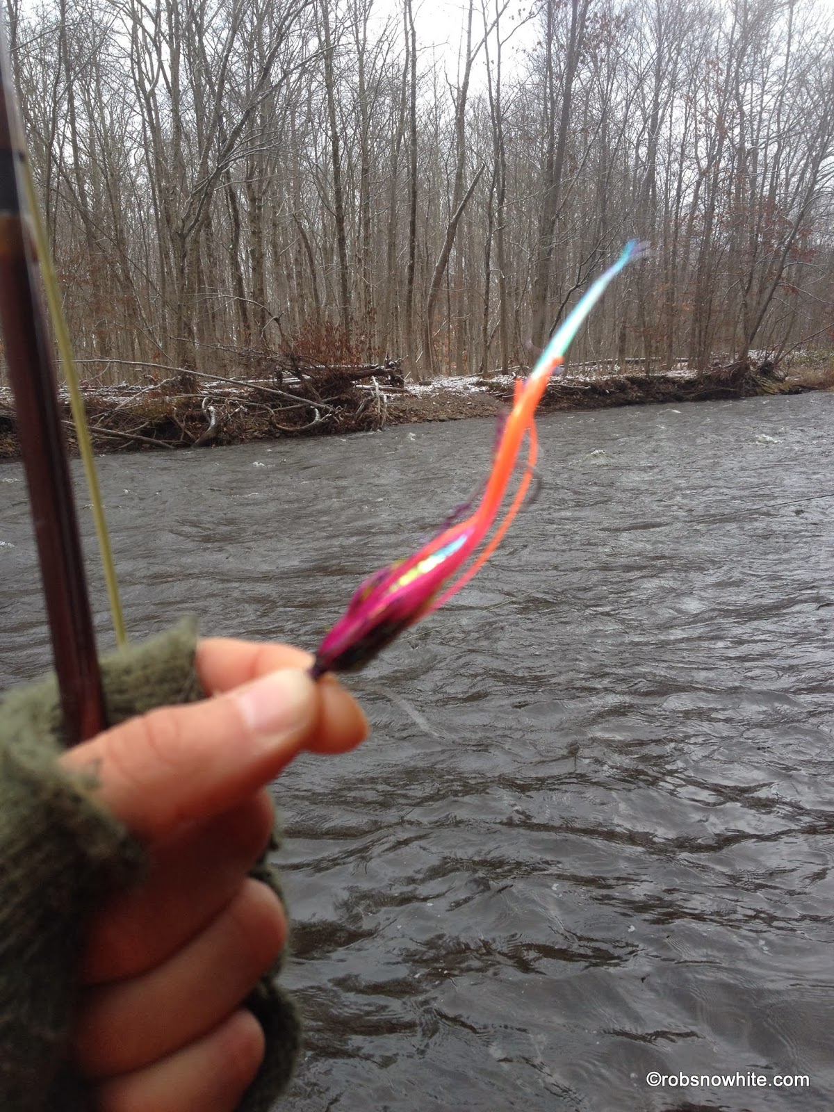 2013 Salmon River New York Steelhead Pictures Fly Fishing Consultant