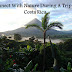 Connect With Nature During A Trip To Costa Rica
