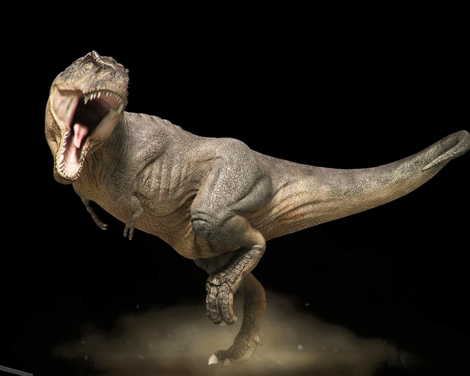 Top 23 Dinosaur Wallpapers In HD | Image Wallpaper Theme