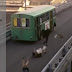 Il disagio di muoversi a Roma