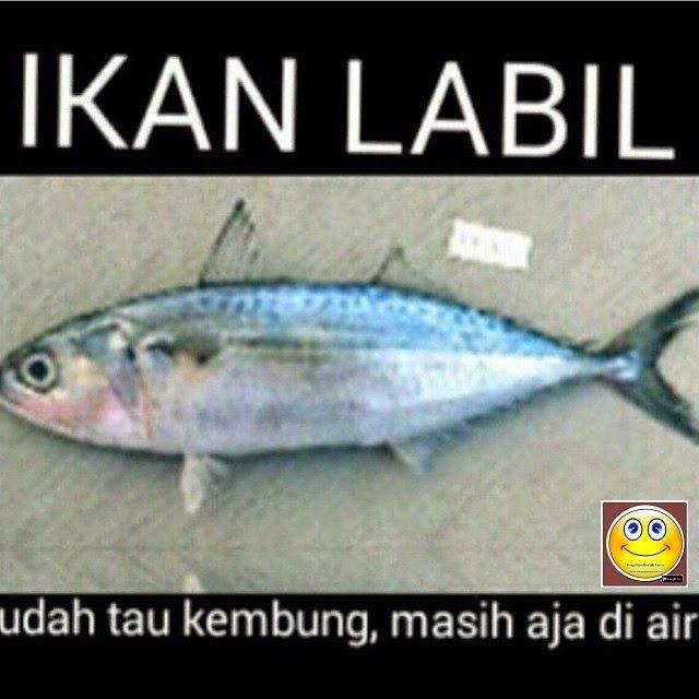 30 Gambar Meme Paling Lucu Dan Konyol 30 Gambar Meme Paling Lucu Dan Konyol