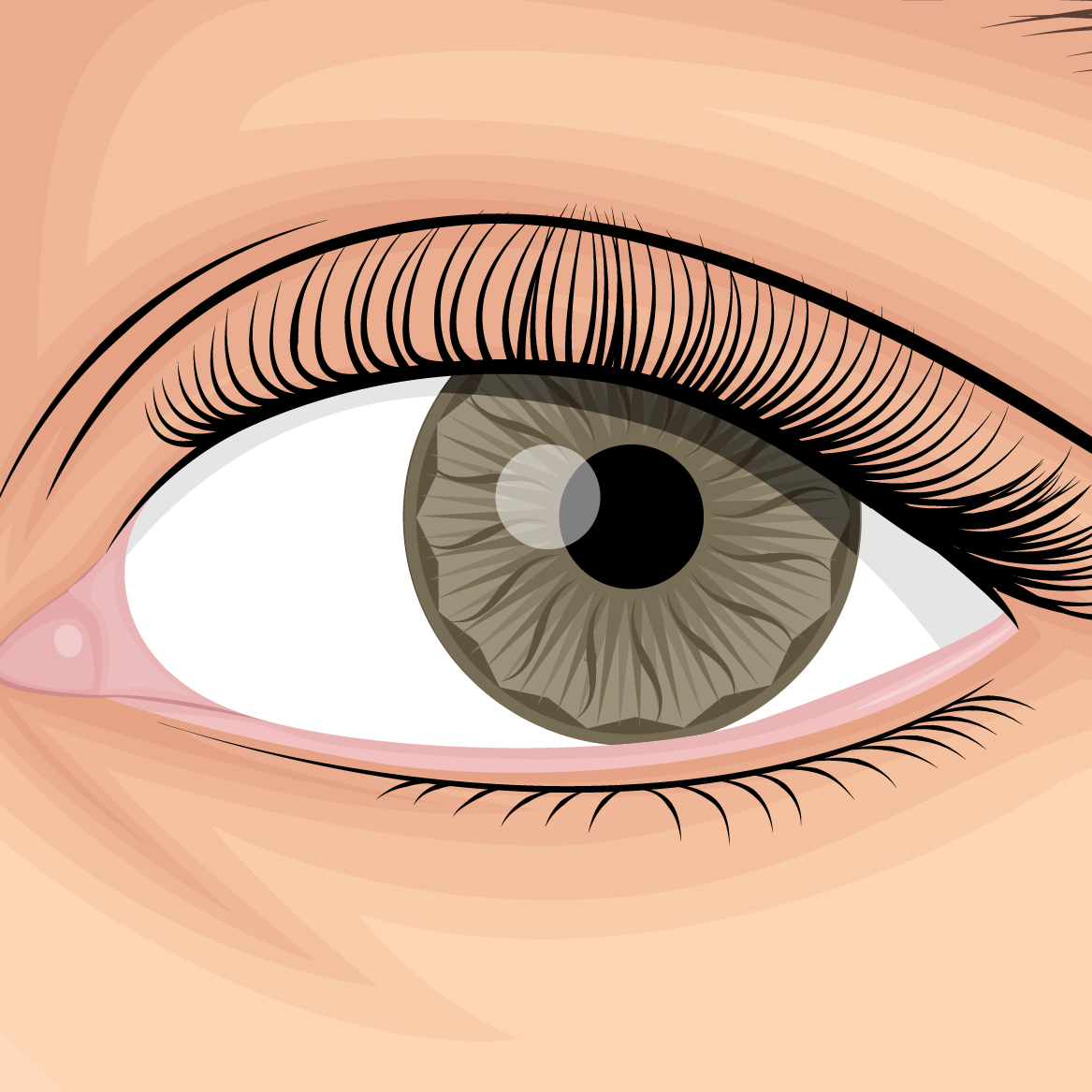 Cara Membuat Vector Bola Mata Dengan Adobe Illustrator - Sembilan Galeri