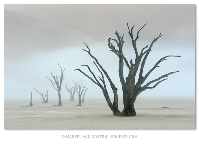 Squiver News - Marsel van Oosten and Daniella Sibbing | Photography ...