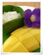 mango fruit