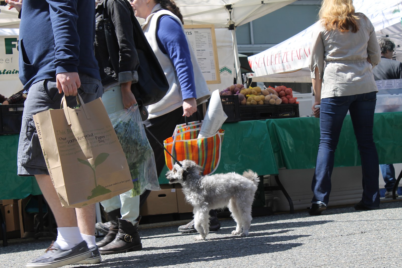 Crown Hill Farmer's Market Dogs