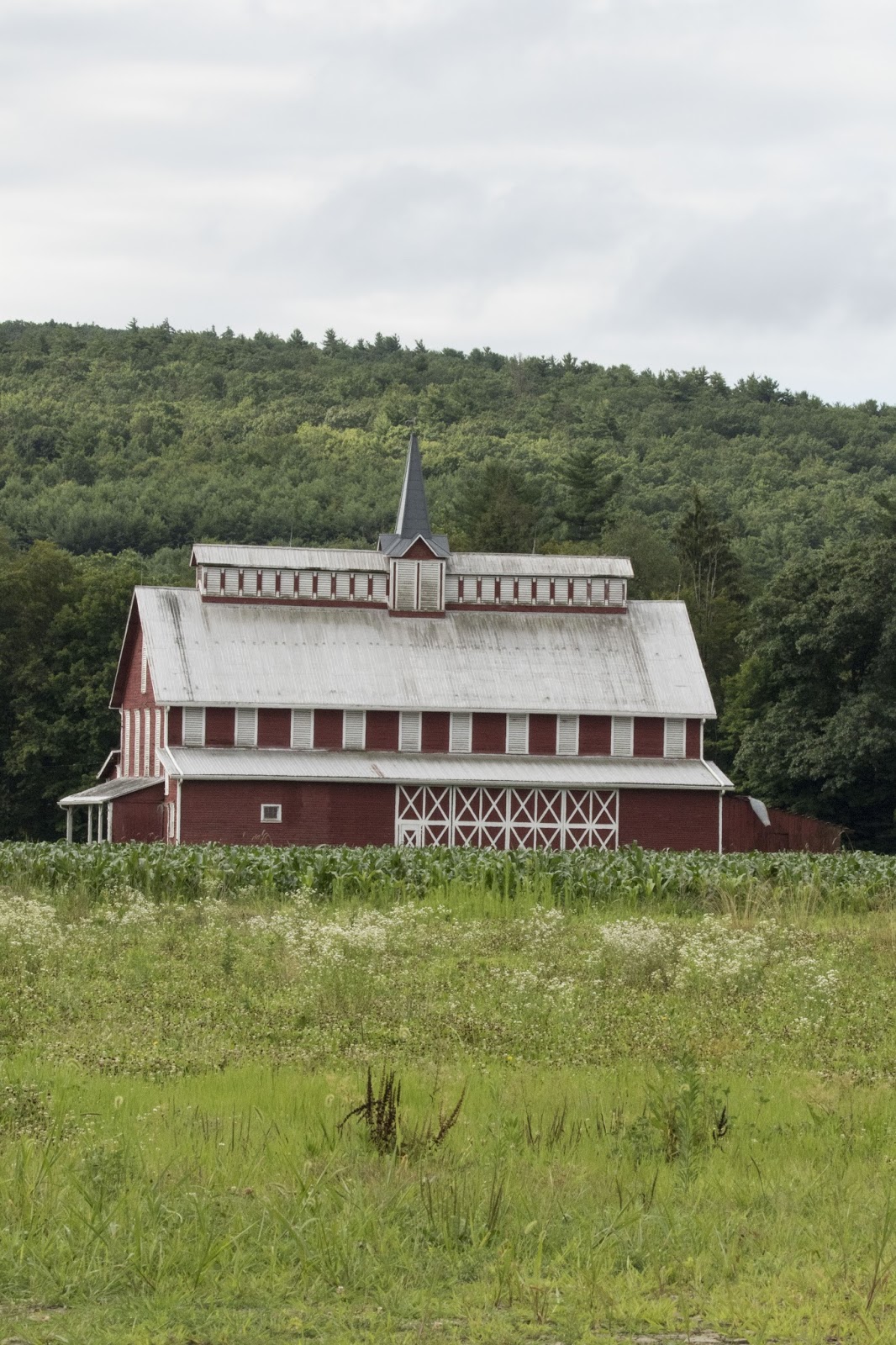Beachgirl's Blog Benton, PA