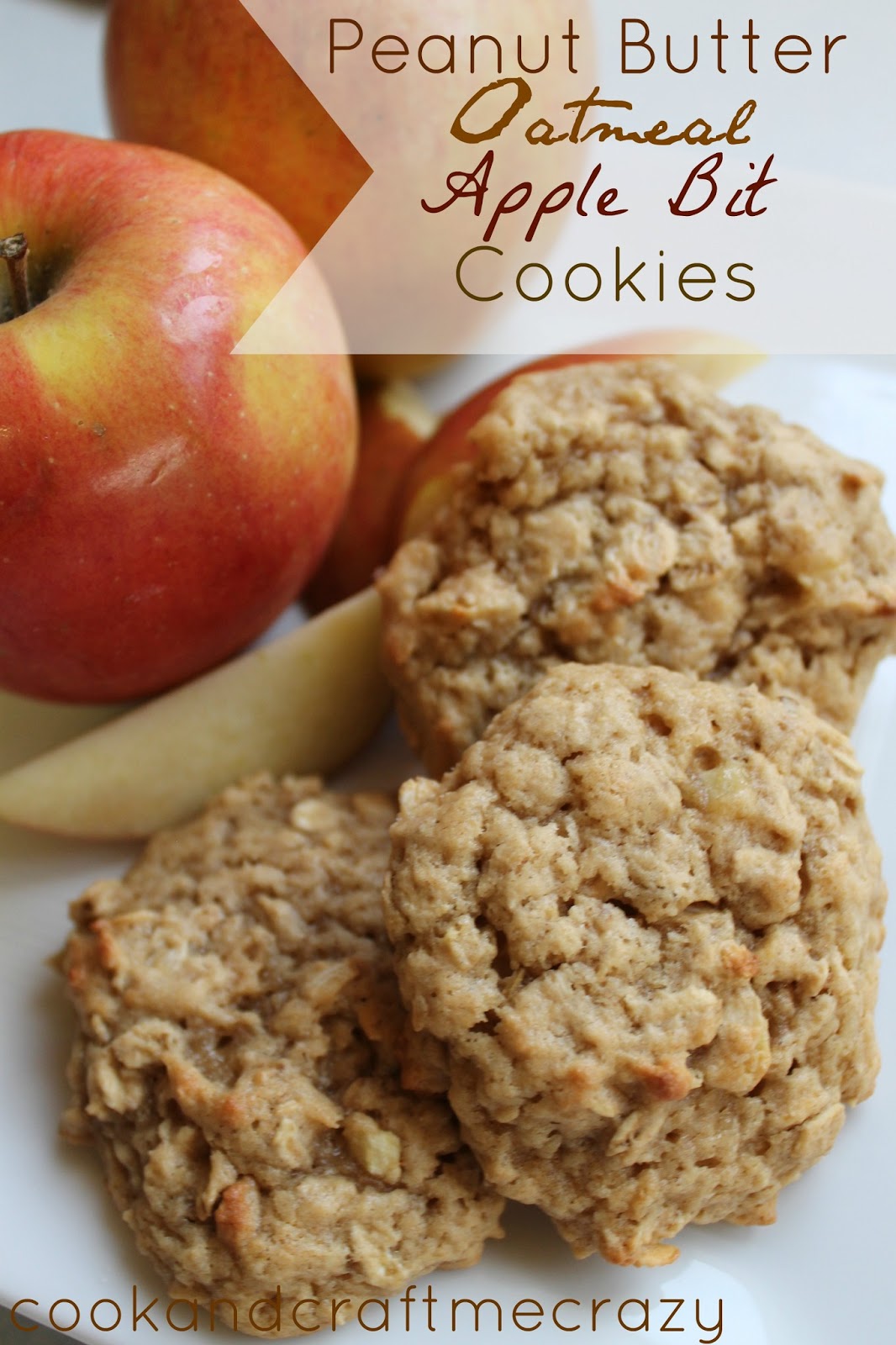 Cook and Craft Me Crazy Peanut Butter Oatmeal Apple Bit Cookies