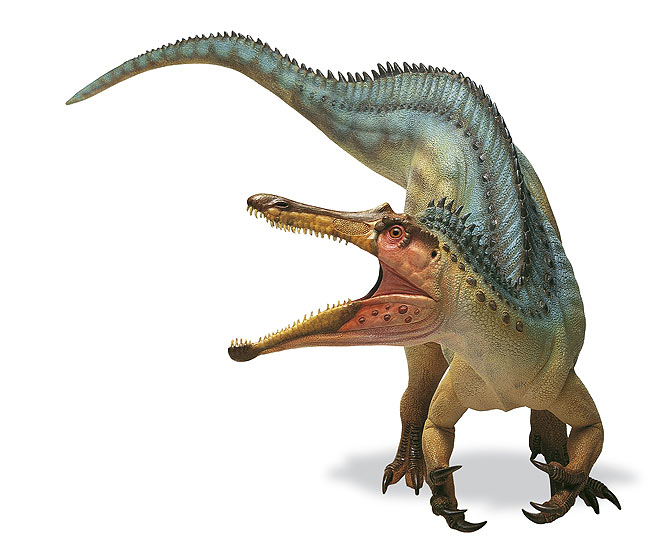 baryonyx fossil for sale