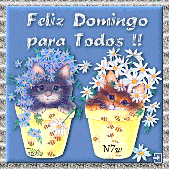 Feliz Domingo  Gifs  Animado para todos