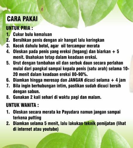 Cara Pakai minyak daun bungkus Cara Pakai minyak daun bungkus