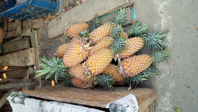 Kucing The Explorer - Buah Nanas Di Pasar Buton Km 5 Balikpapan
