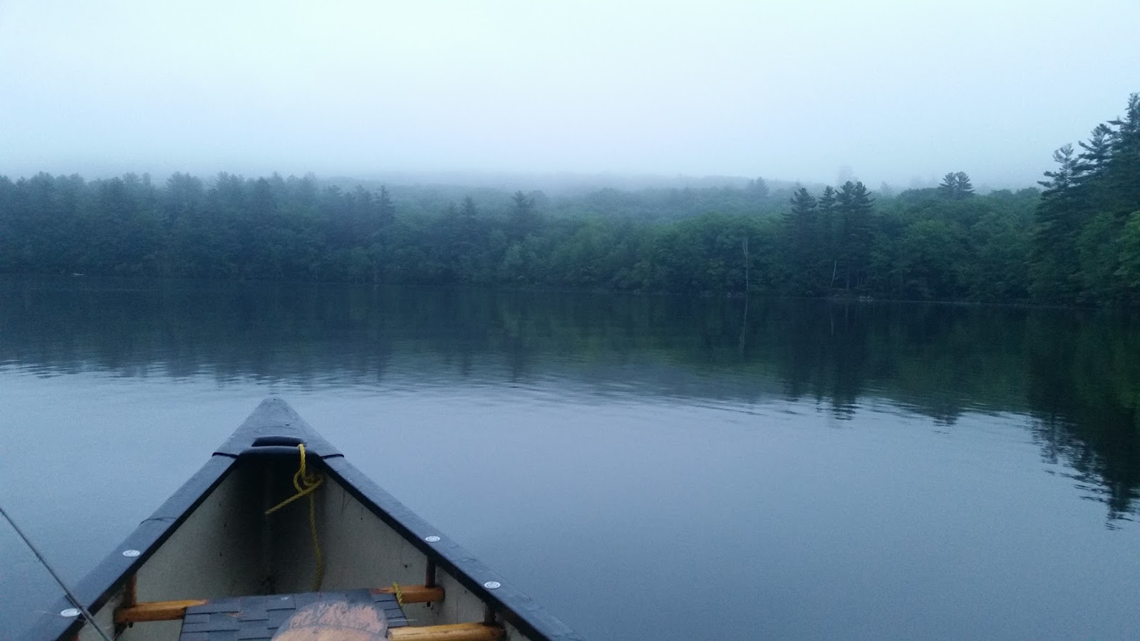 Talking Waters Loons on a Maine Lake