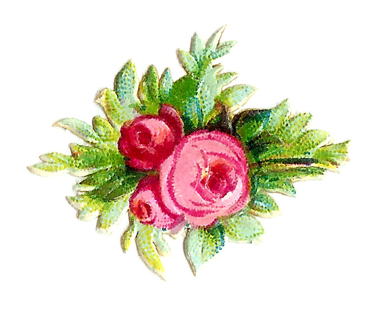 vintage rose clipart - photo #39