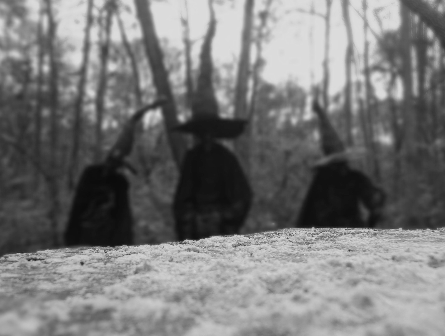 Grim Hollow Haunt: Shadow of the Witch