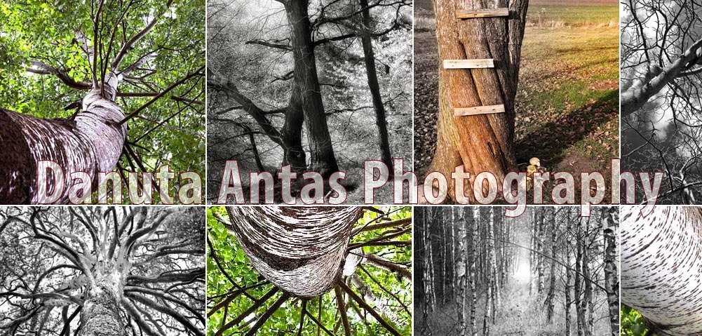 Fine Art Photography Blog by Danuta Antas