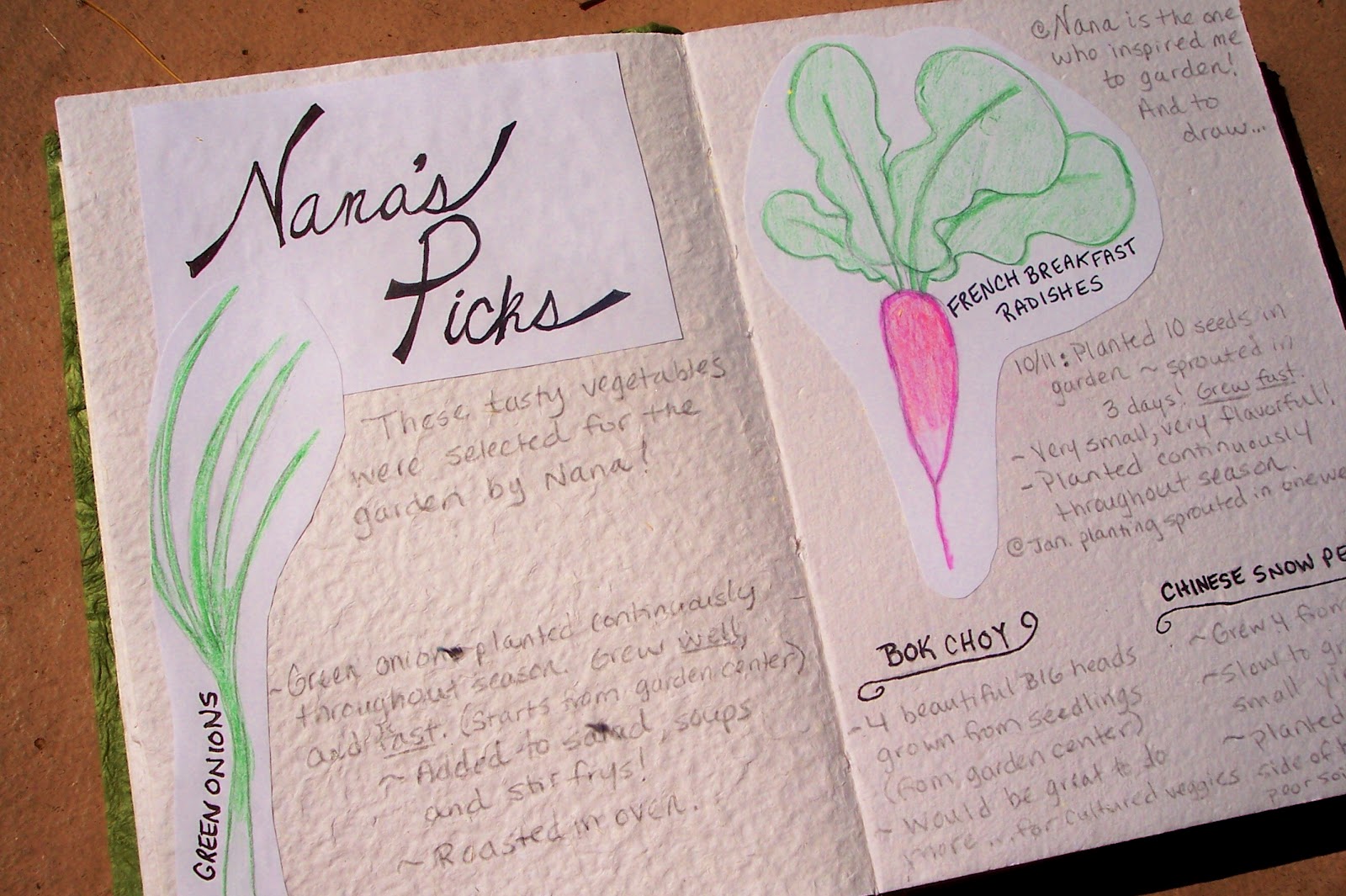 A Natural Nester Keeping a Garden Journal
