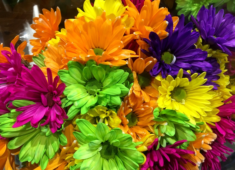 Myiphonepics Dyed, tinted fresh flowers...........