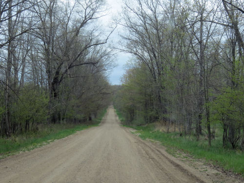 Hamilton Road